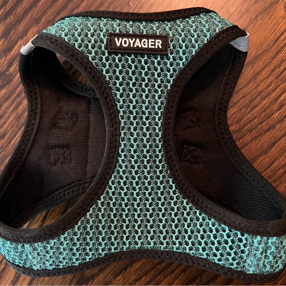 voyager black trim